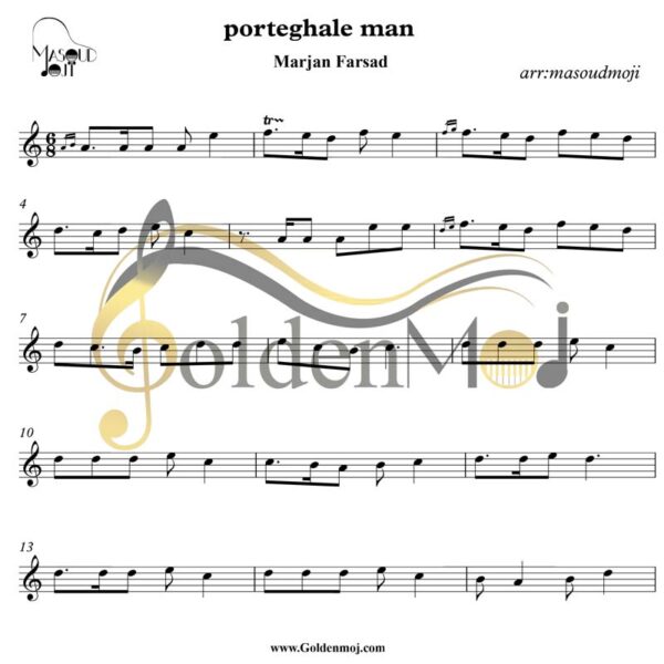 violon_porteghale_man